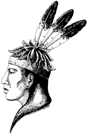  Traditional Mohawk Clothing: 9781542905541: Bonaparte